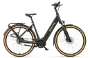 Sparta D-Rule Energy M5Tb Dames