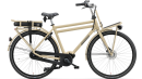 Batavus PACKD E-Go Plus Heren