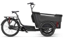 Batavus Fier 3 N5 2025