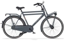 Cortina U4 Transport Solid N7 2025 Heren