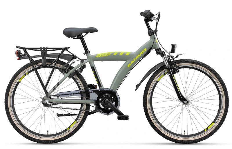 Batavus Snake 24 Inch Jongens