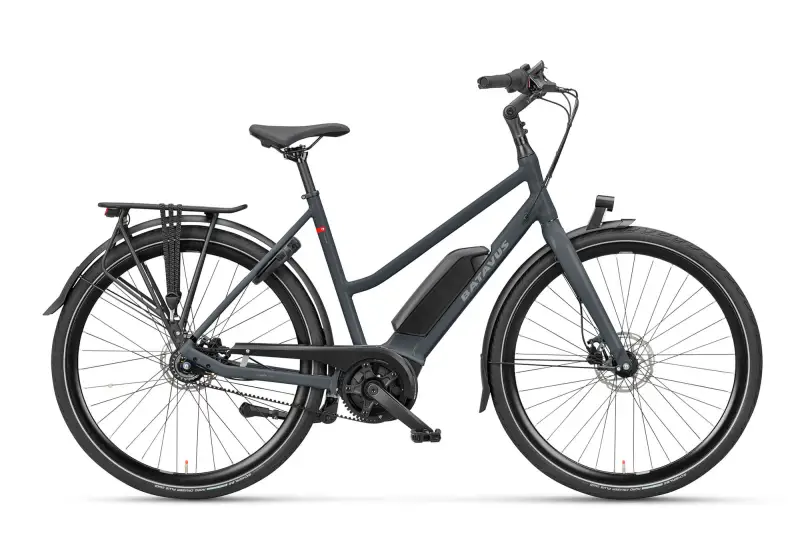 Batavus Dinsdag E-go Exclusive LTD 400wh Mixed