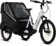 Cube Trike Hybrid Family 750
