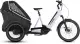 Cube Trike Hybrid Family 750