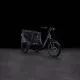 Cube Trike Hybrid Cargo 750
