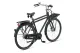 Batavus PACKD N7 2025 Heren