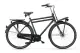 Batavus PACKD N7 2025 Heren