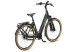 Sparta D-Rule Energy M5Tb Dames
