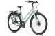 Batavus Dinsdag Exclusive Dames