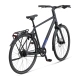 Koga F3 8.0 2025 Heren