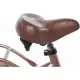 Alpina Clubb 20 Inch Meisjes