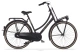 Cortina U4 Transport RN3 2025 Dames