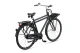 Batavus PACKD RN3 2025 Heren