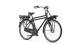 Batavus PACKD E-Go Heren