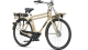 Batavus PACKD E-Go Plus Heren