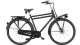 Batavus PACKD N7 2025 Heren