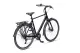 Batavus Fonk Sport 2025 Heren