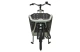 Urban Arrow FamilyNext Advanced 2025 545Wh